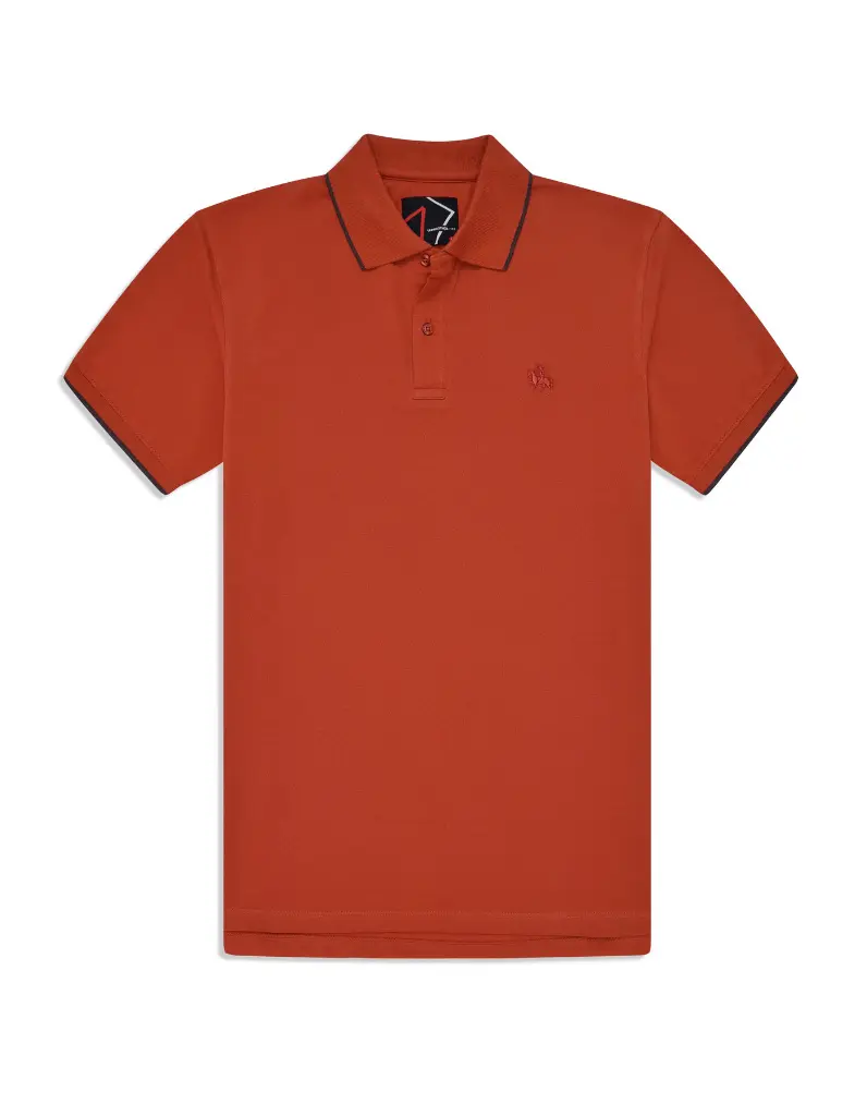 red polo shirt.webp